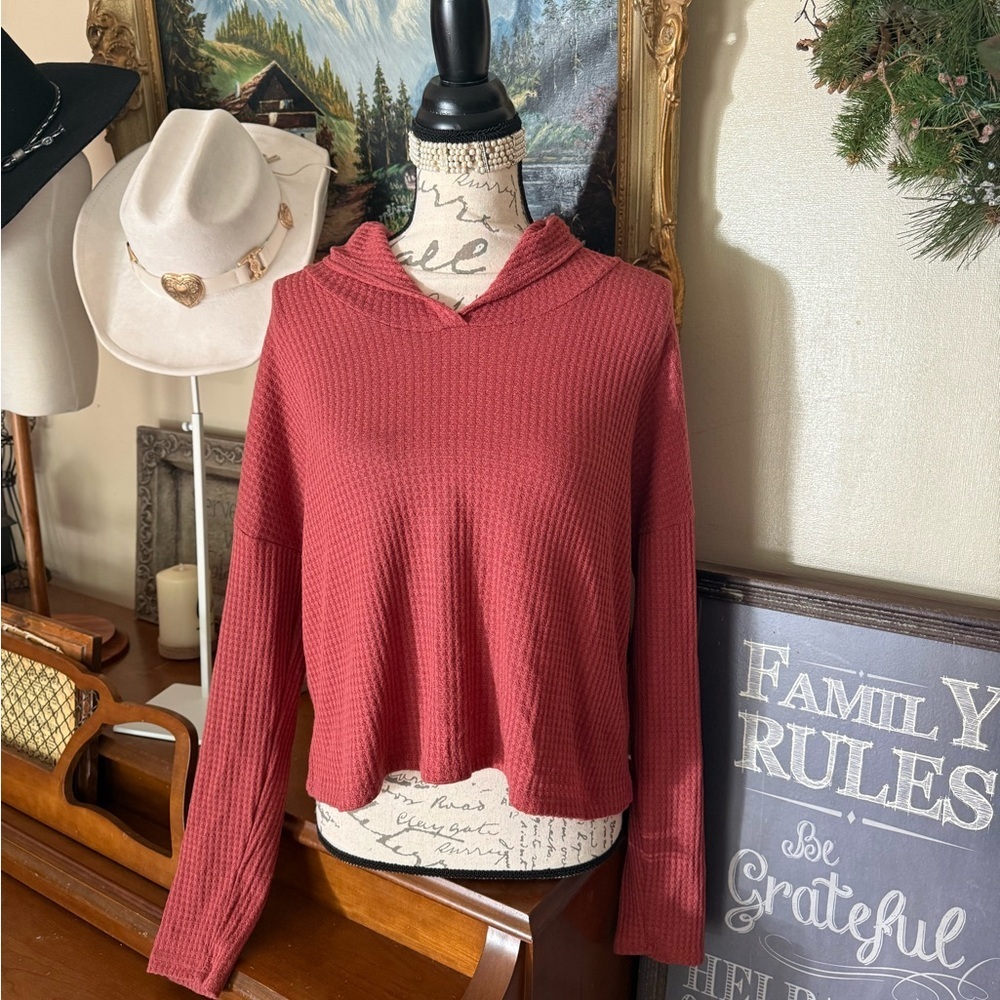 Paper Crane Red Hooded Sweatshirt❗️FINAL SALE